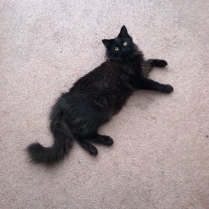 Meet your Posher, Christen